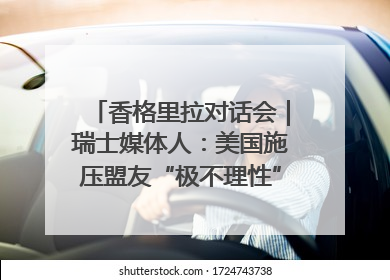 香格里拉对话会｜瑞士媒体人：美国施压盟友“极不理性” 欧洲国家无意与中国“脱钩断链”