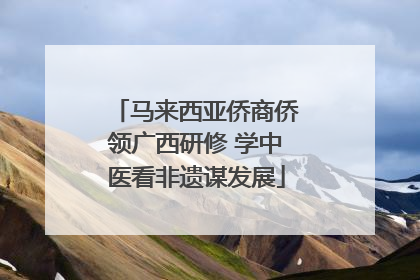 马来西亚侨商侨领广西研修 学中医看非遗谋发展