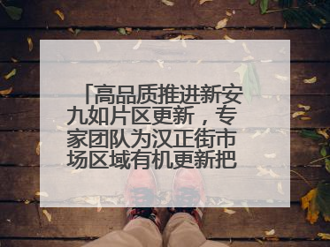 高品质推进新安九如片区更新，专家团队为汉正街市场区域有机更新把脉问诊