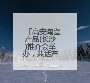 高安陶瓷产品(长沙)推介会举办，共话产业融合发展新篇章