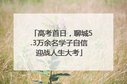 高考首日，聊城5.3万余名学子自信迎战人生大考