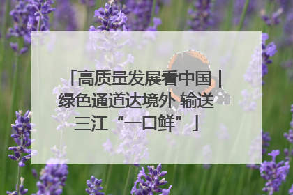 高质量发展看中国｜绿色通道达境外 输送三江“一口鲜”