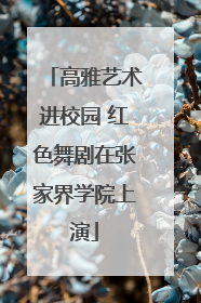 高雅艺术进校园 红色舞剧在张家界学院上演