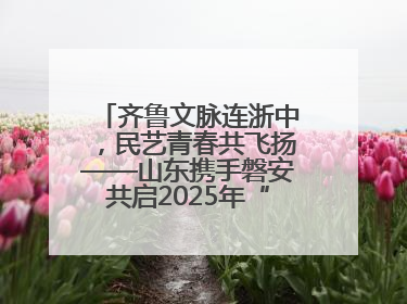 齐鲁文脉连浙中，民艺青春共飞扬——山东携手磐安共启2025年“文化和自然遗产日”系列活动