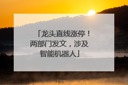龙头直线涨停！两部门发文，涉及智能机器人
