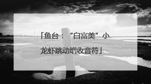 鱼台：“白富美”小龙虾跳动增收音符