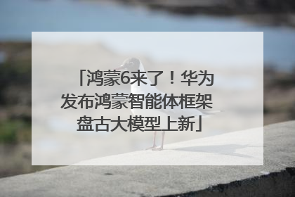鸿蒙6来了！华为发布鸿蒙智能体框架 盘古大模型上新