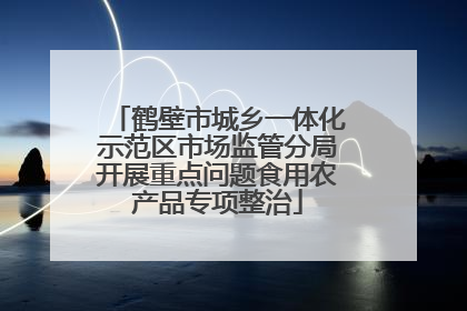 鹤壁市城乡一体化示范区市场监管分局开展重点问题食用农产品专项整治