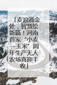 麦浪涌金处，智慧绘新篇！河南首家“小麦—玉米”周年生产无人农场喜迎丰收