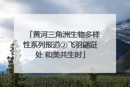 黄河三角洲生物多样性系列报道②飞羽翩跹处 和美共生时