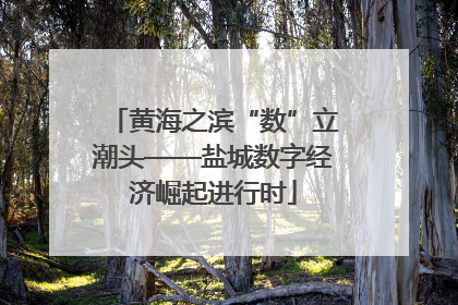 黄海之滨“数”立潮头——盐城数字经济崛起进行时