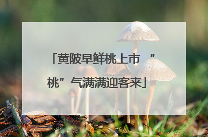黄陂早鲜桃上市 “桃”气满满迎客来
