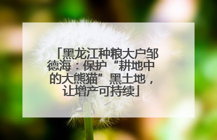 黑龙江种粮大户邹德海：保护“耕地中的大熊猫”黑土地，让增产可持续