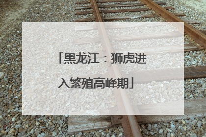 黑龙江：狮虎进入繁殖高峰期