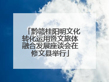 黔赣桂阳明文化转化运用暨文旅体融合发展座谈会在修文县举行