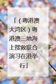 （粤港澳大湾区）粤港澳三地海上搜救联合演习在港举行