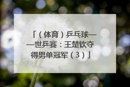 （体育）乒乓球——世乒赛：王楚钦夺得男单冠军（3）