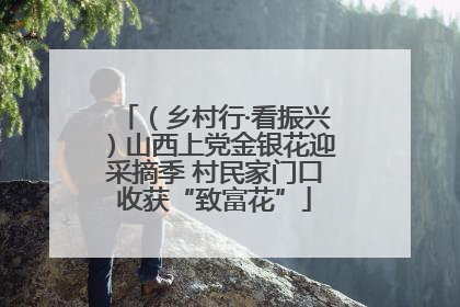 （乡村行·看振兴）山西上党金银花迎采摘季 村民家门口收获“致富花”