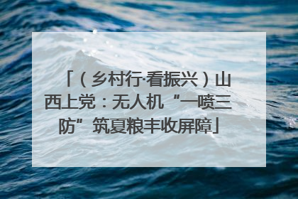 （乡村行·看振兴）山西上党：无人机“一喷三防”筑夏粮丰收屏障