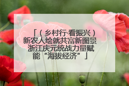（乡村行·看振兴）新农人绘就共富新图景 浙江庆元统战力量赋能“海拔经济”