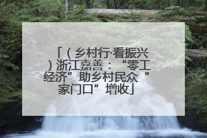 （乡村行·看振兴）浙江嘉善：“零工经济”助乡村民众“家门口”增收
