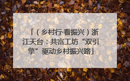 （乡村行·看振兴）浙江天台：共富工坊“双引擎”驱动乡村振兴路