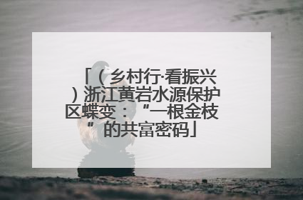 （乡村行·看振兴）浙江黄岩水源保护区蝶变：“一根金枝”的共富密码