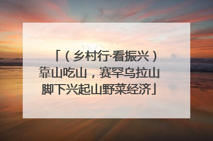 （乡村行·看振兴）靠山吃山，赛罕乌拉山脚下兴起山野菜经济