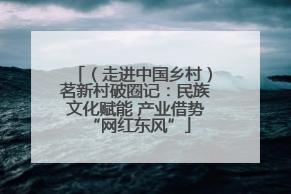 （走进中国乡村）茗新村破圈记：民族文化赋能 产业借势 “网红东风”