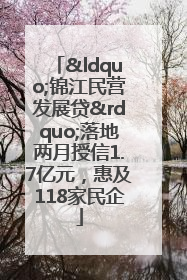 “锦江民营发展贷”落地两月授信1.7亿元，惠及118家民企