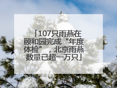 107只雨燕在颐和园完成“年度体检”，北京雨燕数量已超一万只