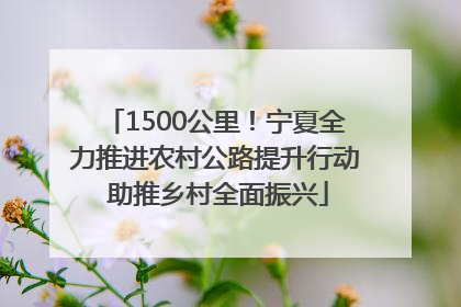 1500公里！宁夏全力推进农村公路提升行动 助推乡村全面振兴