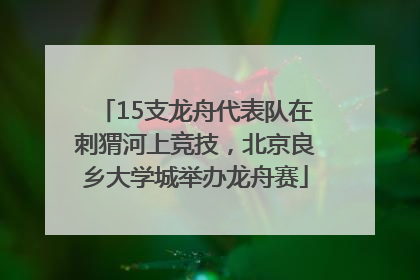 15支龙舟代表队在刺猬河上竞技，北京良乡大学城举办龙舟赛