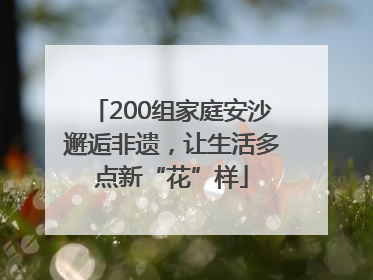 200组家庭安沙邂逅非遗，让生活多点新“花”样