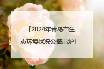 2024年青岛市生态环境状况公报出炉