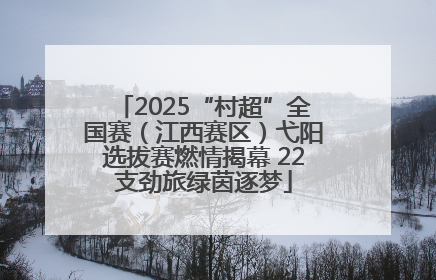 2025“村超”全国赛（江西赛区）弋阳选拔赛燃情揭幕 22支劲旅绿茵逐梦