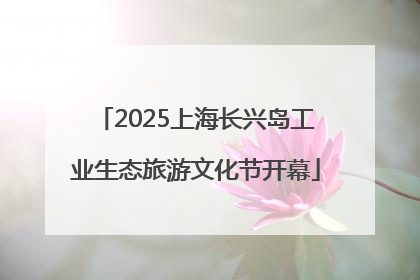 2025上海长兴岛工业生态旅游文化节开幕