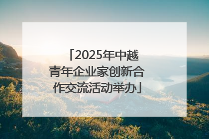 2025年中越青年企业家创新合作交流活动举办