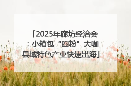 2025年廊坊经洽会：小箱包“圈粉”大咖 县域特色产业快速出海