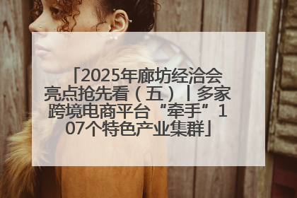 2025年廊坊经洽会亮点抢先看（五）丨多家跨境电商平台“牵手”107个特色产业集群