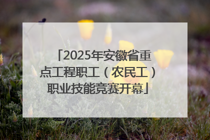 2025年安徽省重点工程职工（农民工）职业技能竞赛开幕