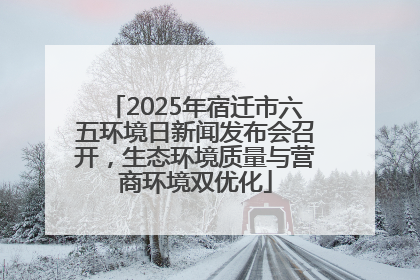 2025年宿迁市六五环境日新闻发布会召开，生态环境质量与营商环境双优化