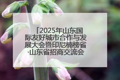 2025年山东国际友好城市合作与发展大会暨印尼楠榜省·山东省招商交流会在济南槐荫举行