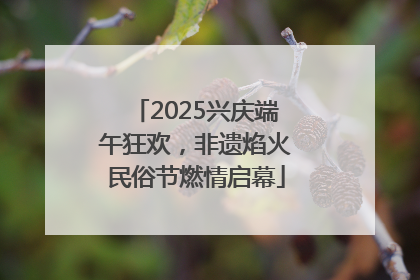 2025兴庆端午狂欢，非遗焰火民俗节燃情启幕
