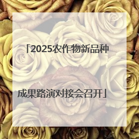 2025农作物新品种成果路演对接会召开