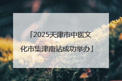 2025天津市中医文化市集津南站成功举办