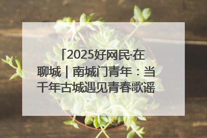 2025好网民·在聊城｜南城门青年：当千年古城遇见青春歌谣 一湖碧水见证的“聊城式浪漫”