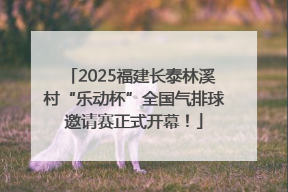2025福建长泰林溪村“乐动杯”全国气排球邀请赛正式开幕！