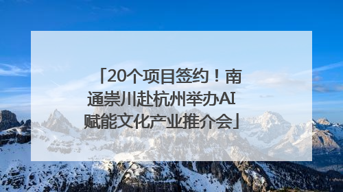 20个项目签约！南通崇川赴杭州举办AI赋能文化产业推介会