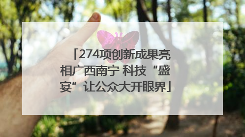 274项创新成果亮相广西南宁 科技“盛宴”让公众大开眼界